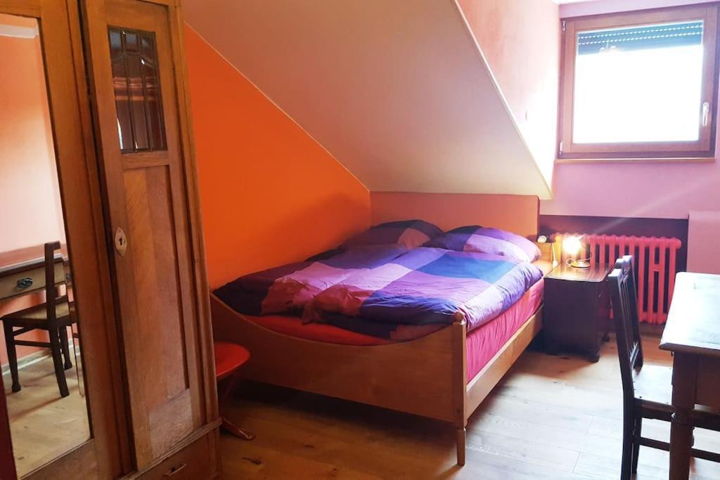 Апартаменти Casa Barzen - Stilvoll Urlauben An Der Mosel Райль Екстер'єр фото